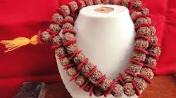 Manufacturers Exporters and Wholesale Suppliers of Rudraksha Japa Mala Delhi Delhi